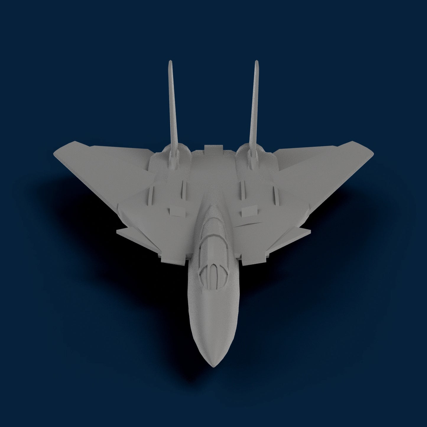 F-14 Tomcat Miniature