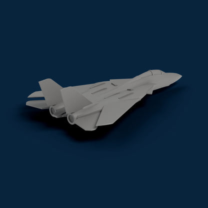 F-14 Tomcat Miniature