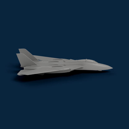 F-14 Tomcat Miniature