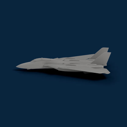 F-14 Tomcat Miniature