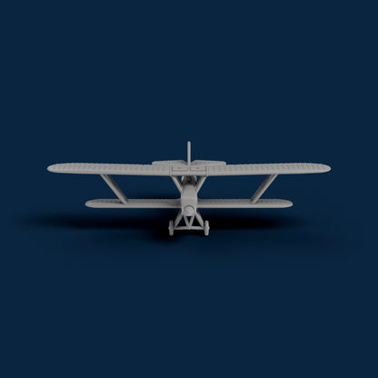 Polikarpov R-Z Miniature
